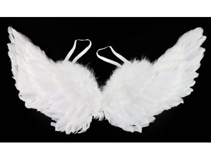 KARNEVAL Křídla andělská s peřím 50cm *KARNEVALOVÝ DOPLNĚK*