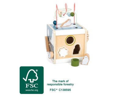 small foot Motorická kostka Artic