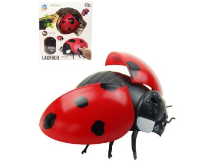 RC Brouk beruška hmyz na dálkové ovládání na baterie Světlo