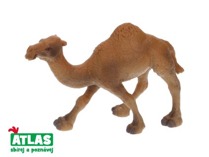 B - Figurka Velbloud jednohrbý 11 cm