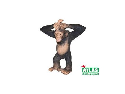A - Šimpanz 6 cm