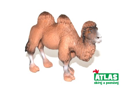 C - Figurka Velbloud 11 cm