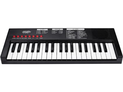 Klávesy s mikrofonem 40cm