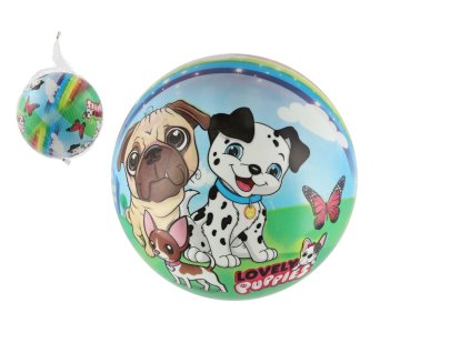 Míč Pejskové nafouknutý 23cm v síťce