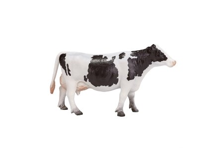 Mojo Holštýnská kráva