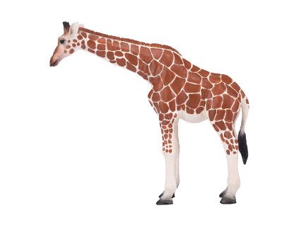 Mojo Žirafa samice