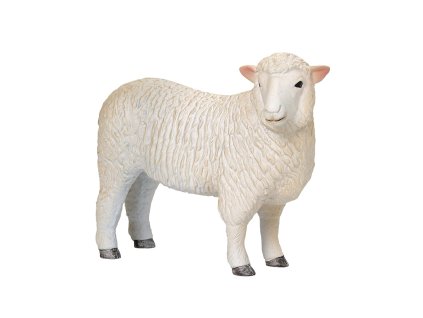 Mojo Ovce romney marsh