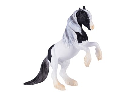 Mojo Irský tinker hřebec