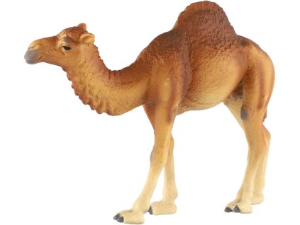 Velbloud jednohrbý 13cm zvířátko plastová figurka Zooted