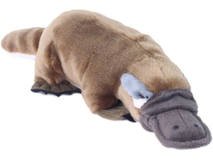 PLYŠ Ptakopysk 30cm Eco-Friendly *PLYŠOVÉ HRAČKY*