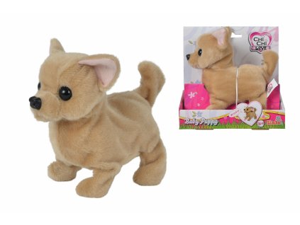 CCL Čivava šteniatko