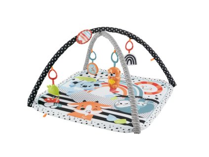 Fisher Price hracia dečka s vydrou  3 v 1