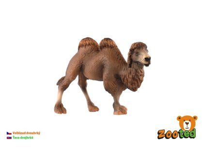 Velbloud dvouhrbý zooted plast 12cm