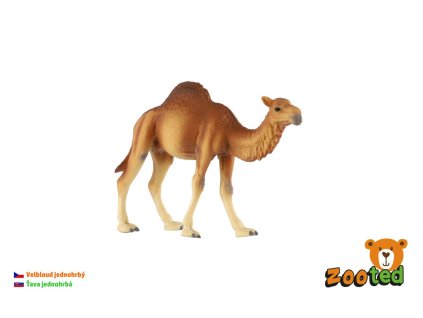 Velbloud jednohrbý zooted 13cm