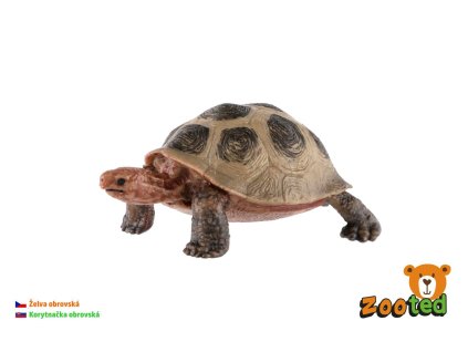 Želva obrovská zooted plast 8cm