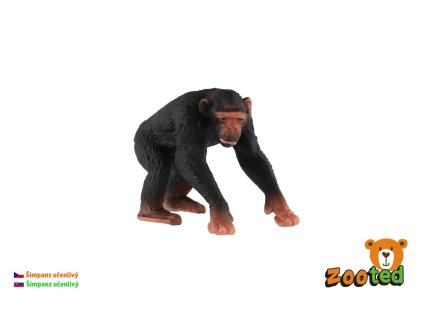 Šimpanz učenlivý zooted plast 7cm