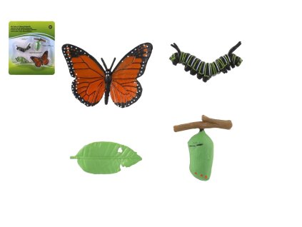 Vývoj motýla babočky plast 4ks na kartě 19,5x22,5x2,5cm