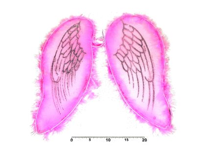 Křídla andělská karneval 45x44cm v sáčku