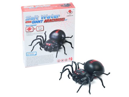 Pavouk na slanou vodu