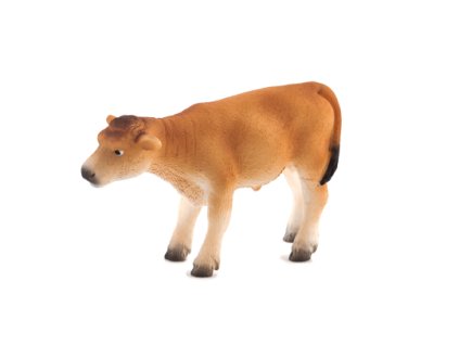 Mojo Jerseyské tele stojící