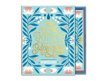 Galison Box s pohlednicemi You Are All Kinds of Amazing