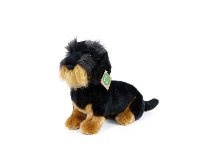 Rappa Plyšový drsnosrstý jezevčík sedící 30 cm ECO-FRIENDLY