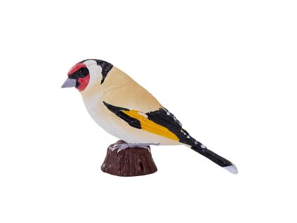 Mojo Stehlík obecný