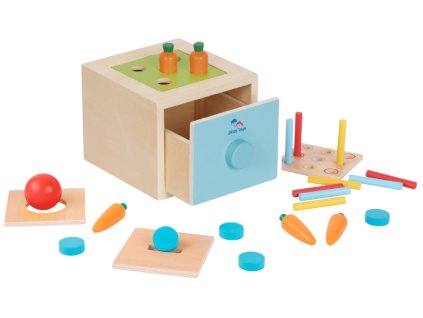 2Kids Toys Multifunkční vhazování