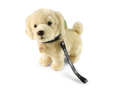 Rappa Plyšový pes zlatý retrívr stojící s vodítkem 25 cm ECO-FRIENDLY