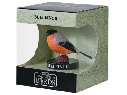 Mojo Hýl obecný v krabičce