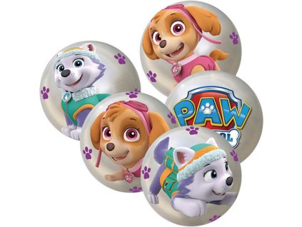DINO Míč Tlapková Patrola balon s potiskem 10cm 4 druhy