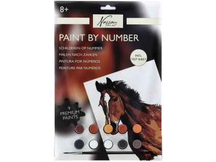 Malování podle čísel kůň kreativní set obrazek A4 s barvičkami a štětcem