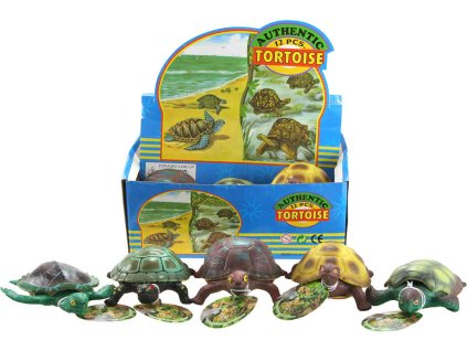 Želva plastová 15cm měkké tělíčko 5 druhů