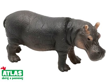 C - Figurka Hroch obojživelný 12 cm