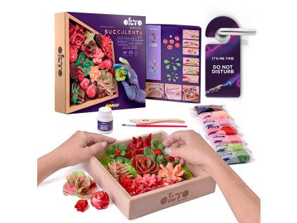 OKTO Passion Výtvarná modelovací sada sukulenty v dřevěném rámu 21x21 cm