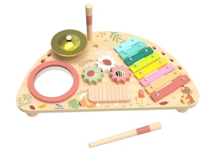 2Kids Toys Multifunkční hudební deska