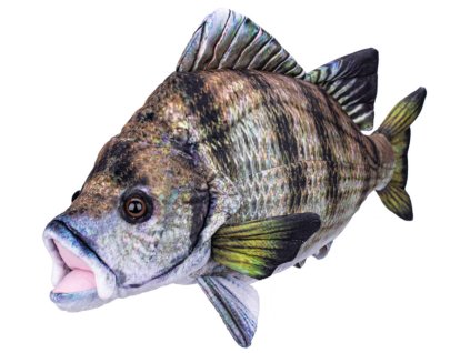 PLYŠ Kapr 45cm *PLYŠOVÉ HRAČKY*