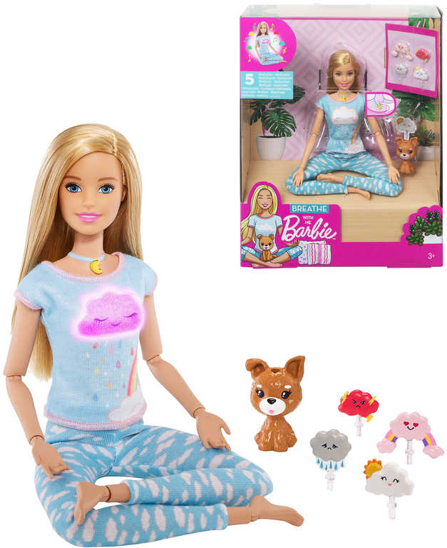 MATTEL BRB Barbie wellness a meditace set panenka s pejskem a doplňky