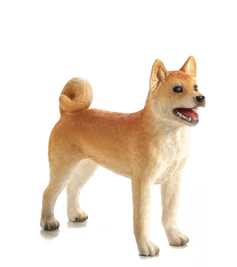 Mojo Pes Shiba Inu