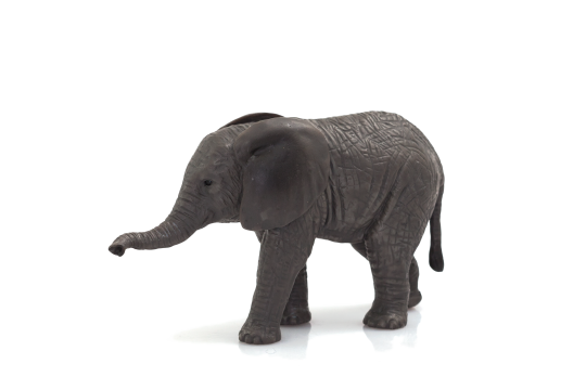 Mojo Slon africký slůně
