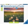 RAVENSBURGER Puzzle Pampelišky 500 dílků 49x36cm skládačka