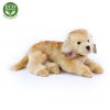 Rappa Plyšový pes zlatý retrívr ležící 32 cm ECO-FRIENDLY