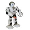 Robot RC FOBOS plast interaktivní chodící 40cm česky mluvící na baterie s USB v krabici 31x45x13cm
