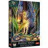 TREFL PUZZLE Magic Collection Kniha stínů 48x68cm skládačka 1000 dílků
