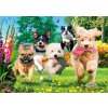 TREFL PUZZLE PREMIUM Čas na čaj Potíže na obzoru 68x48cm 1000 dílků