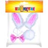 KARNEVAL Zaječí uši set s motýlkem a ocáskem *KARNEVALOVÝ DOPLNĚK*