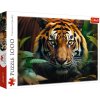 TREFL PUZZLE PREMIUM Divoký tygr 68x48cm skládačka 1000 dílků
