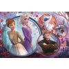 TREFL PUZZLE Frozen 2 Sesterské dobrodružství skládačka 41x27,5cm 160 dílků