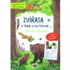 JIRI MODELS Svět zvířat v samolepkách Zvířata v lese a na louce