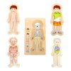 small foot Dřevěné hračky puzzle anatomie Tim